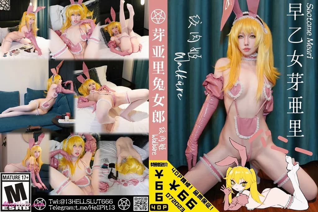 Walküre 絞肉姬 – Mary Saotome Bunny Girl Walküre 絞肉姬 – Mary Saotome Bunny Girl