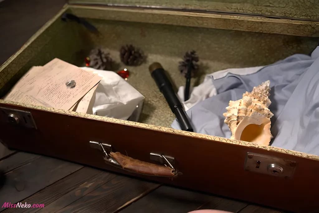 Vinnegal – Frieren Vinnegal – Frieren