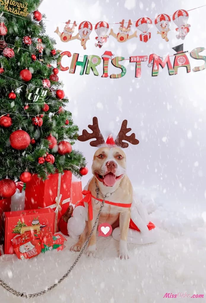 Uy Uy – Super Sonico Xmas Uy Uy – Super Sonico Xmas